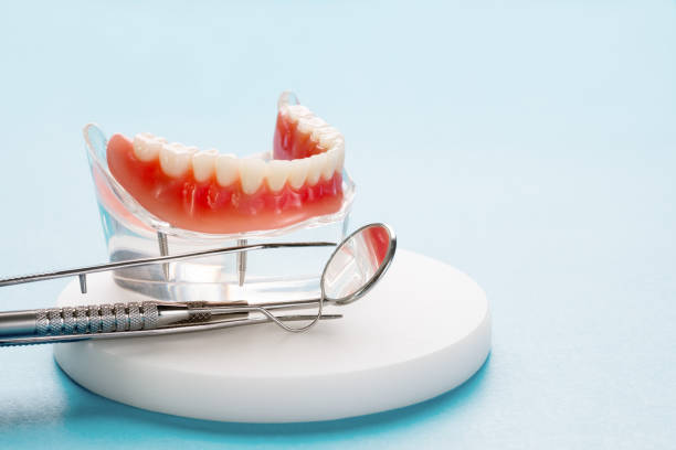 Best Preventive Dentistry  in Pemberton Heights, NJ